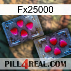 Fx25000 15